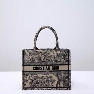 DIOR Handbags 750